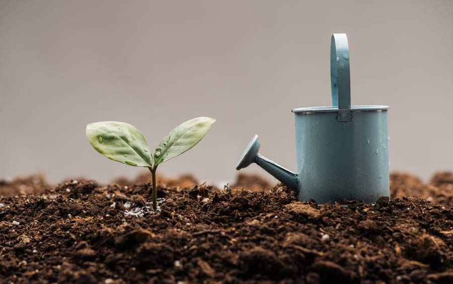 Exploring the Intersection of Technology and Ecology