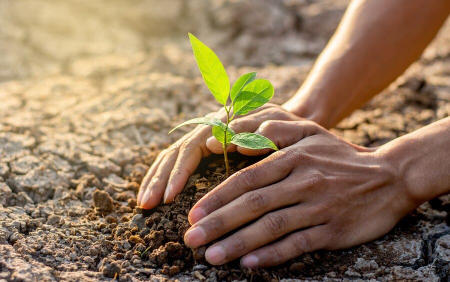 Helping Companies in  Their Green Transition